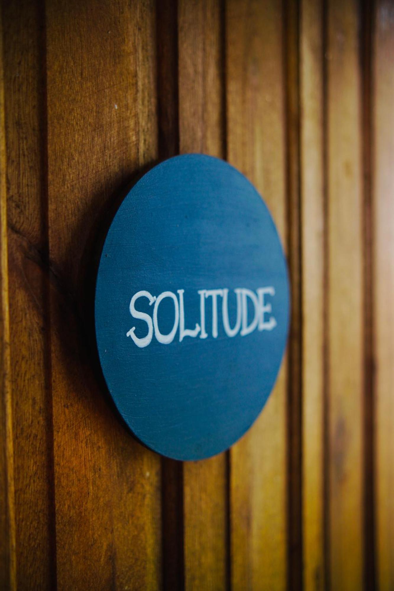 Solitude - Gaivota